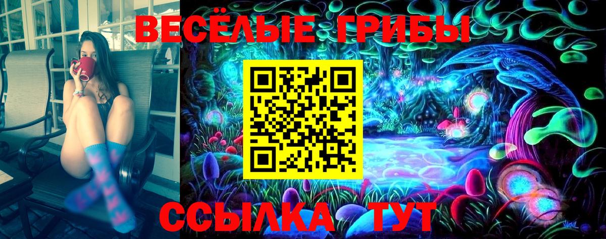 Псилоцибиновые грибы Cubensis  Вход с VPN  Благодарный 