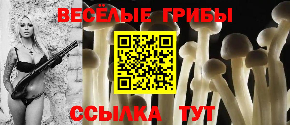 Галлюциногенные грибы ЛСД Благодарный